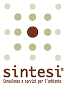 Sintesi S.r.l. 