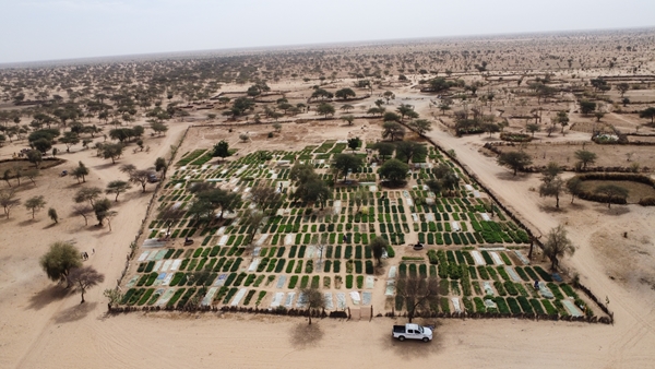 Mauritania, trattenere l’acqua e nutrire il suolo