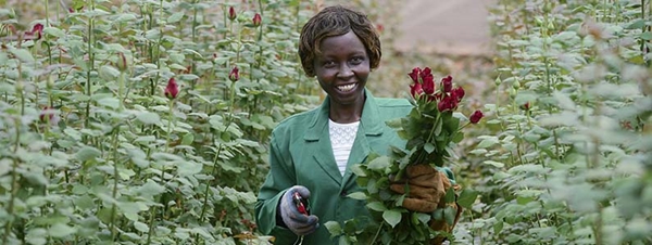 Fiori e Piante Fairtrade