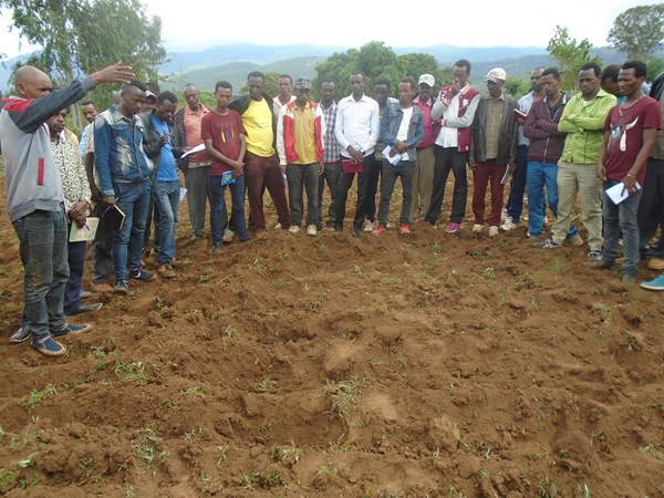 Formazione agricola, Etiopia