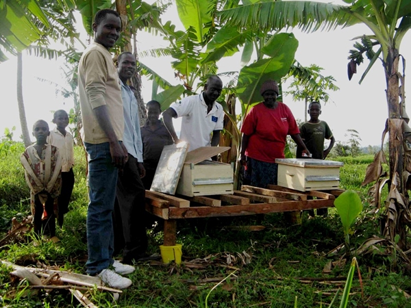 Laboratori di apicoltura, Mozambico