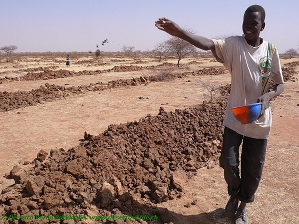 Progetto RECUPERO DELLE TERRE (Sahel Burkinabé)