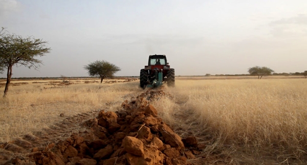 Progetto RECUPERO DELLE TERRE attraverso il water harvesting