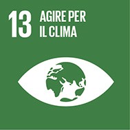 SDGs_13